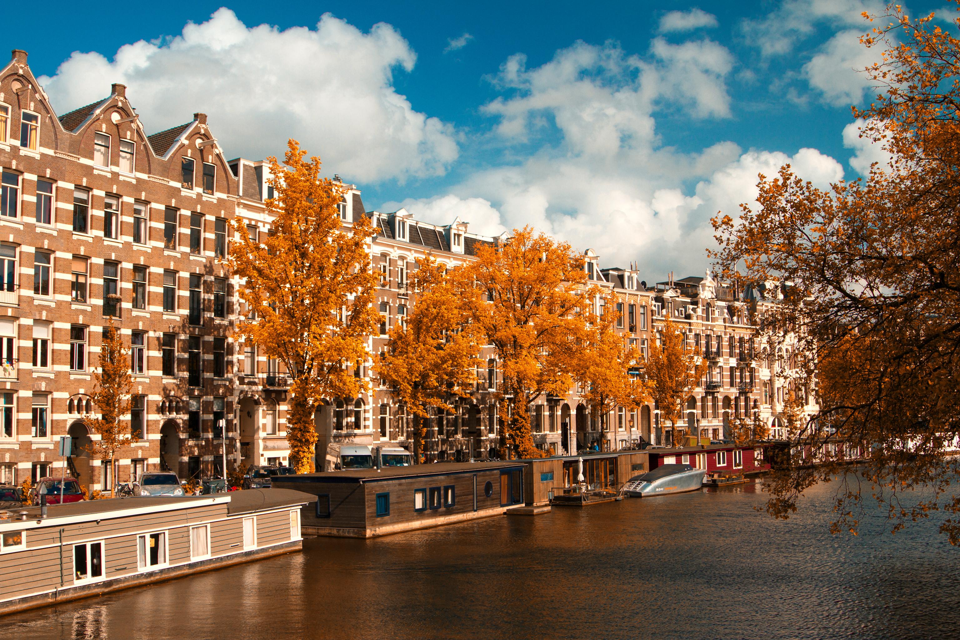 33 Cheap Flights from London to Amsterdam in 2023 momondo